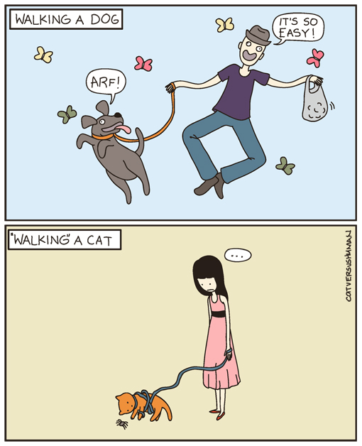 cat versus human