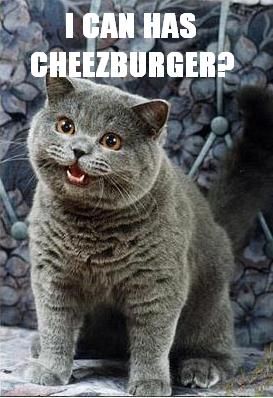 L'origine du LOLcat: I can has cheezburger