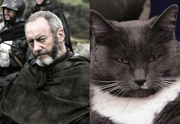 game-of-thrones-Davos-Seaworth