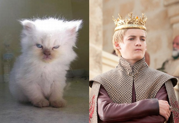 game-of-thrones-Joffrey-Baratheon