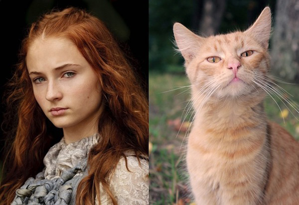 game-of-thrones-Sansa-Stark