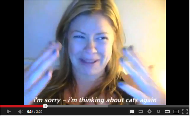"Can't hug every cat" 25 millions de vues sur YouTube