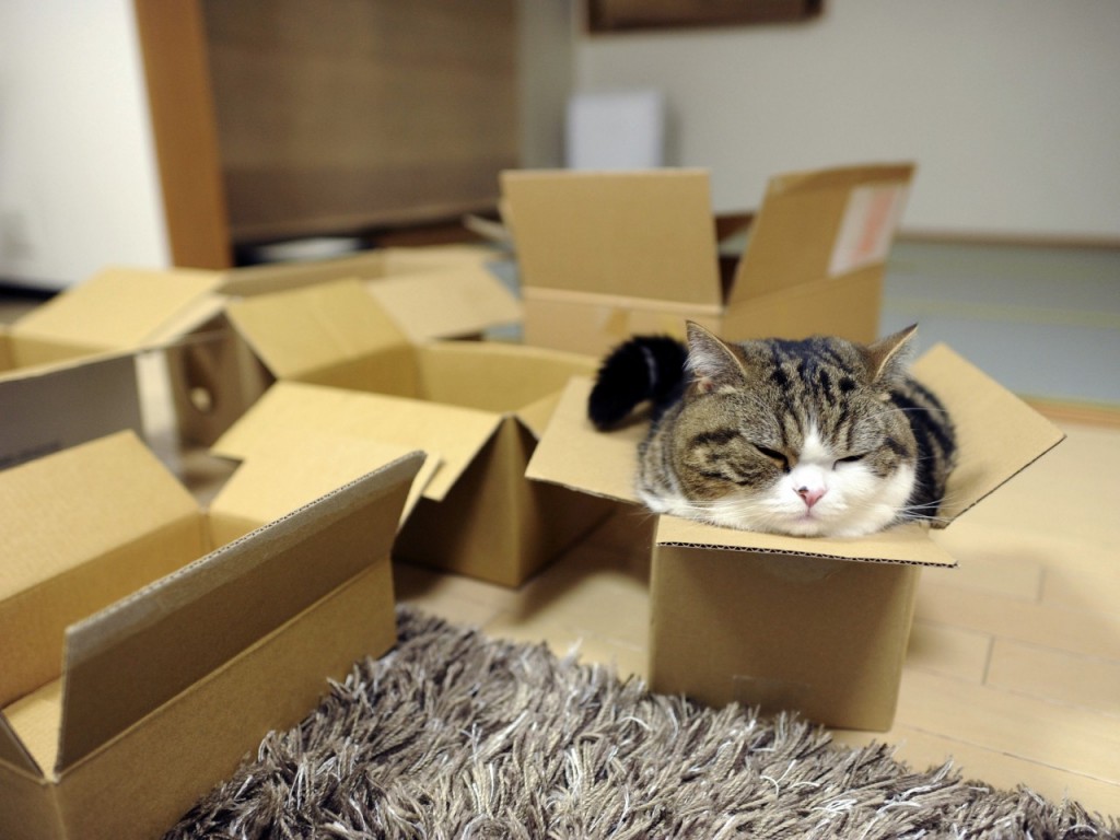 maru-carton