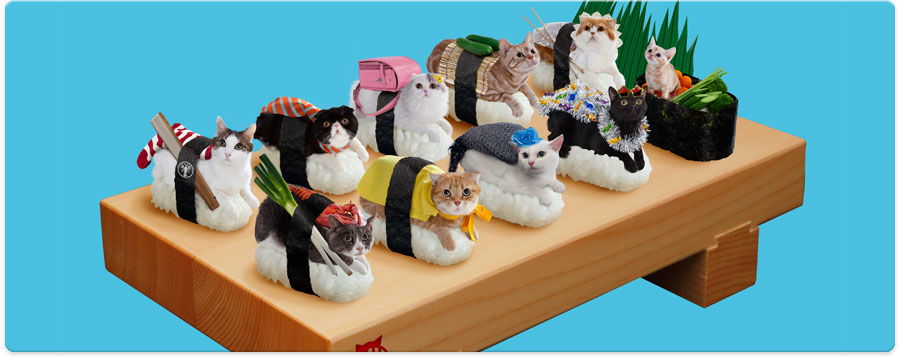 Sushi-Chats