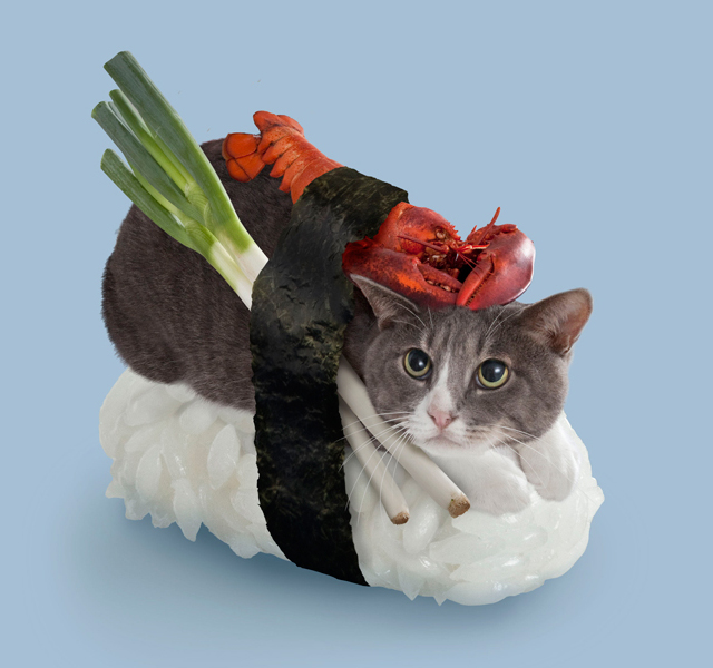 Sushi-Chats