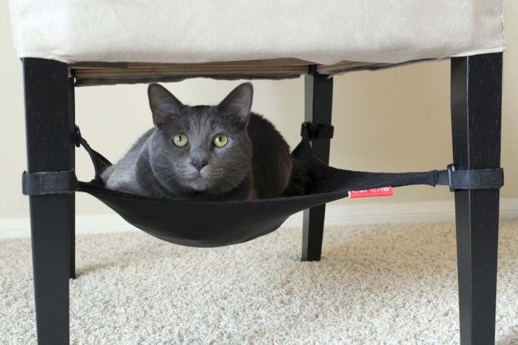 Cat Crib