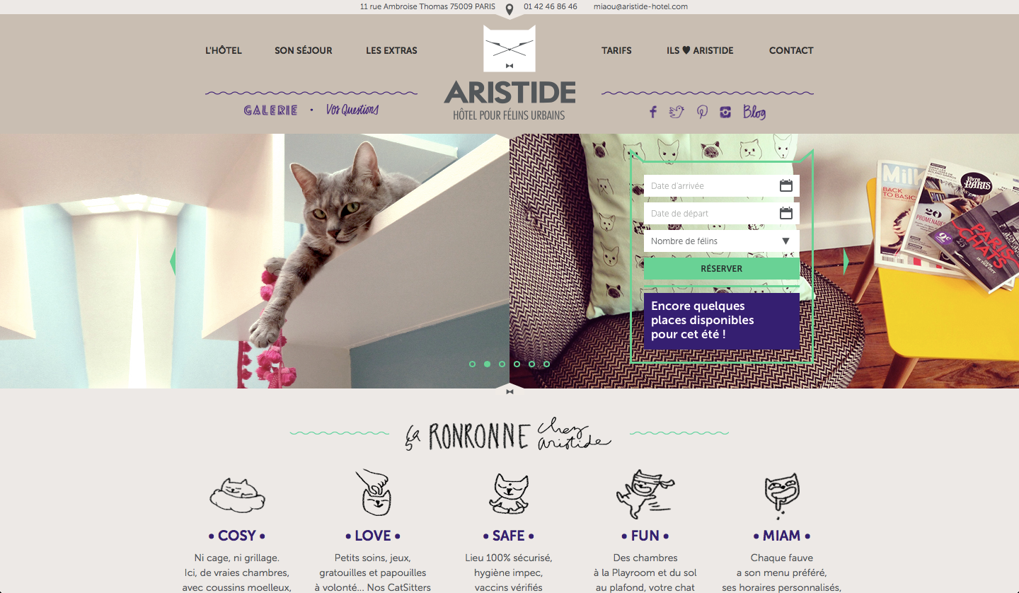 aristide-hotel-pour-chats-paris-site-web-2