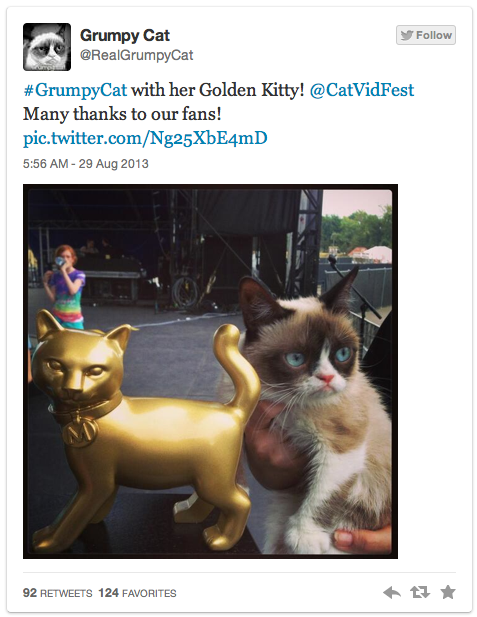 grumpy-cat-kitty-award