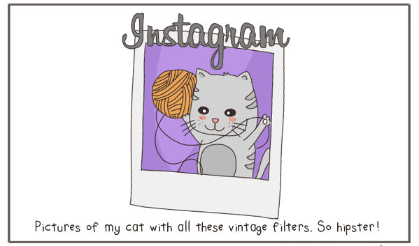 Instagram-expliqué-par-des-chats
