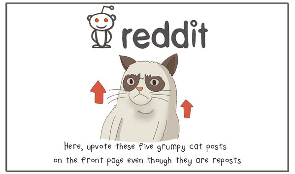 Reddit-expliqué-par-des-chats