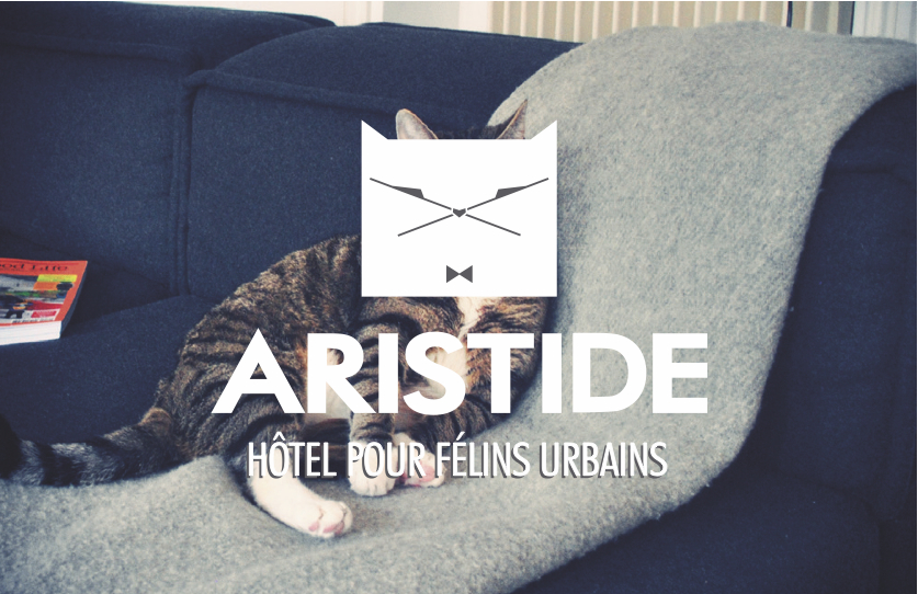 aristide-hotel-chats-paris-carte