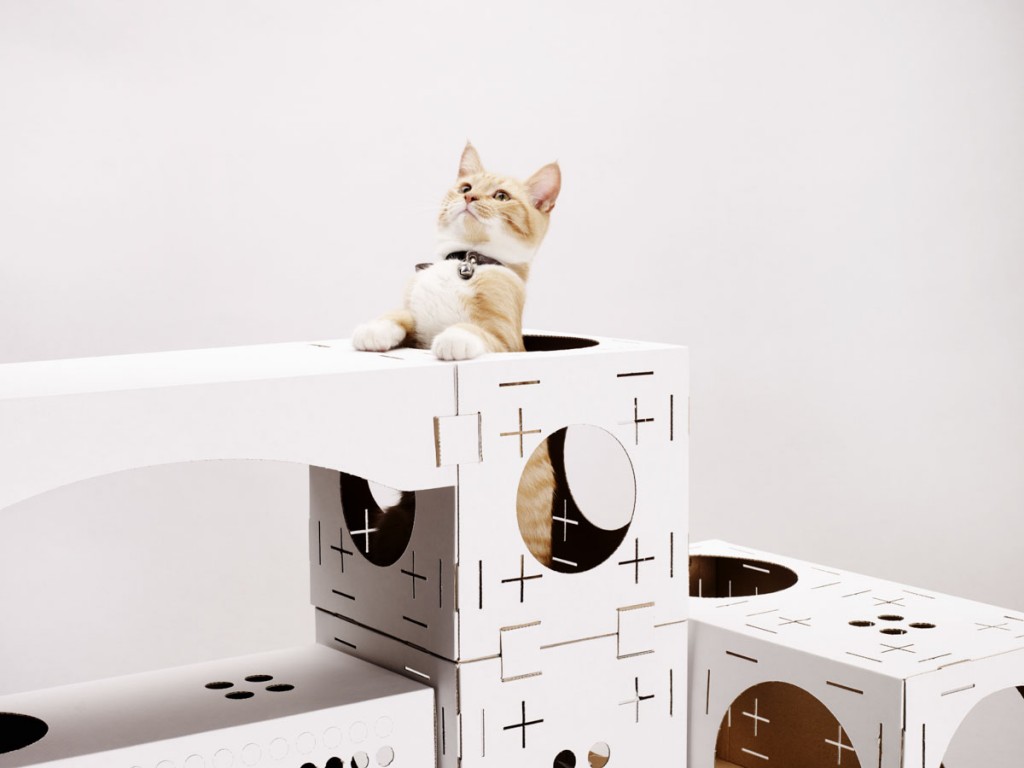 PoopyCat Blocks cartons pour chats