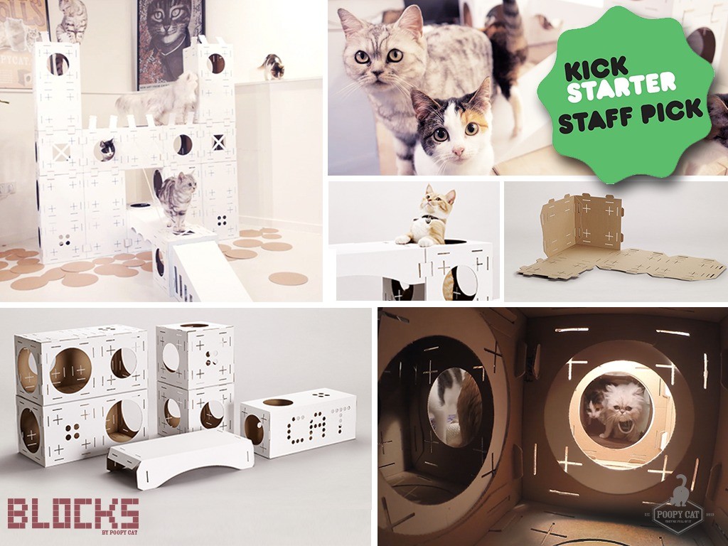 PoopyCat Blocks cartons pour chats Kickstarter