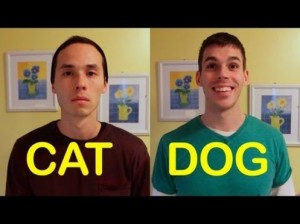 Cat versus Dog